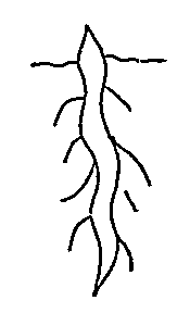 Hearing serpent. Ojibwa pictograph