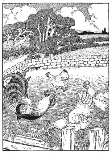 Cock and gem