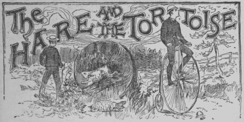 The Hare and the Tortoise The Hare and the Tortoise