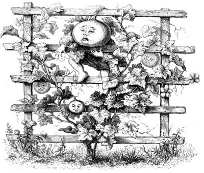 PRINCE CUCURBITA ON THE TRELLIS PRINCE CUCURBITA ON THE TRELLIS