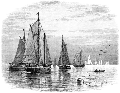 MACKEREL-BOATS MACKEREL-BOATS