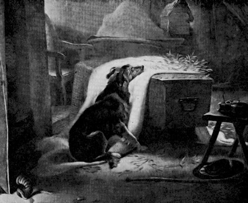 Highland Shepherd's Chief Mourner Highland Shepherd's Chief Mourner