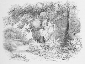 THE ROCKY VALLEY, HOLMHURST. THE ROCKY VALLEY, HOLMHURST.