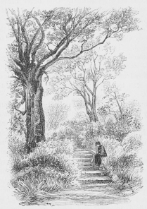 THE OAK WALK, HOLMHURST. THE OAK WALK, HOLMHURST.