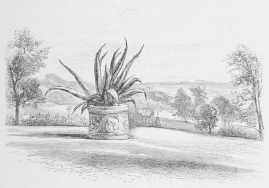 THE VENETIAN WELL, HOLMHURST. THE VENETIAN WELL, HOLMHURST.