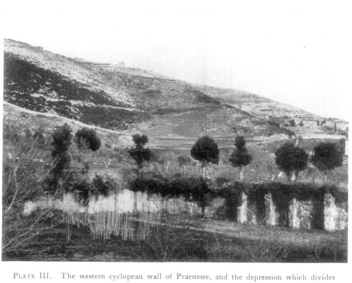 PLATE III. The western cyclopean wall of Præneste, and the depression which divides Monte Glicestro. PLATE III. The western cyclopean wall of Præneste, and the depression which divides Monte Glicestro.