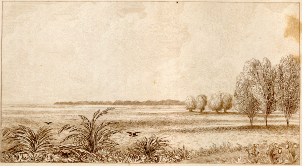 Prairie and Log Cabin in the Distance