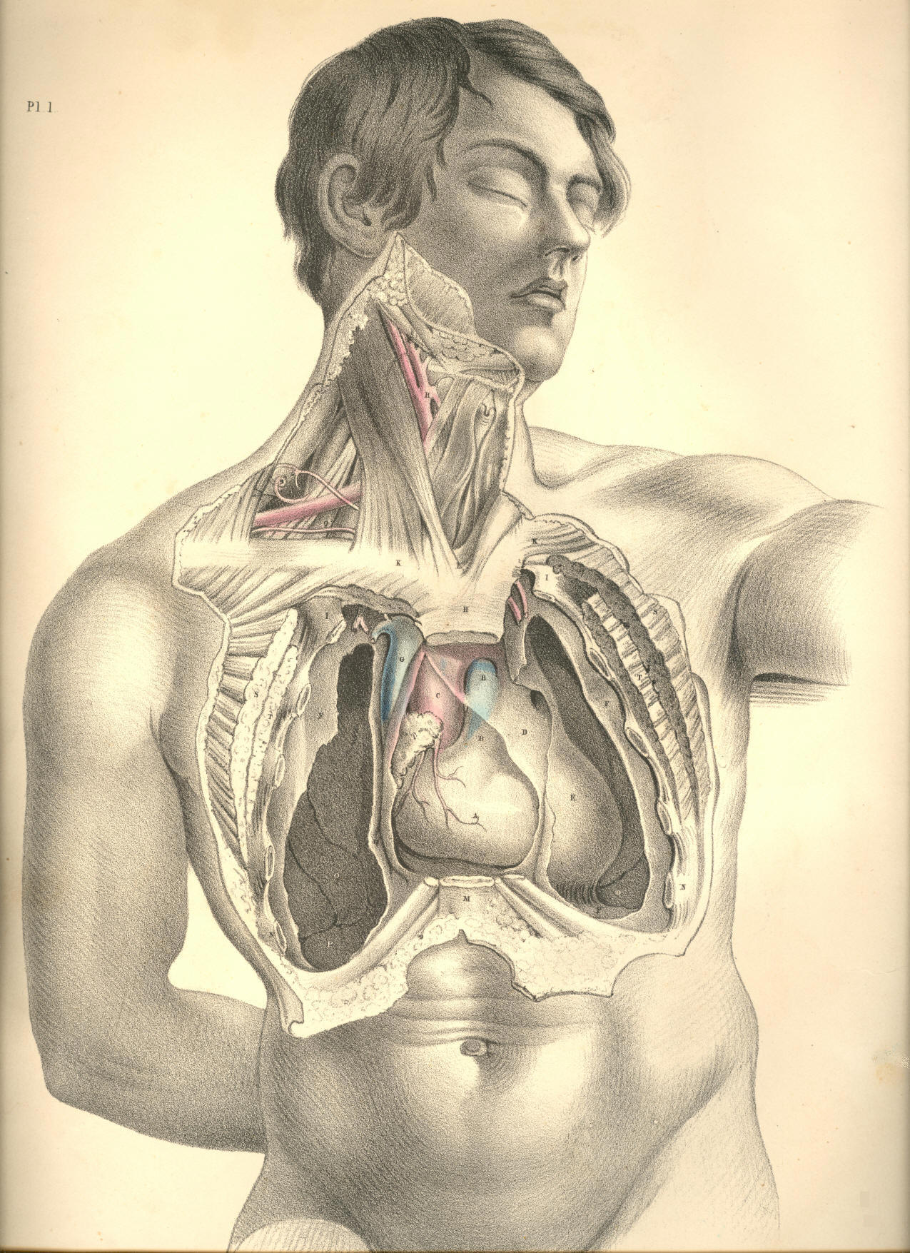 Illustration: