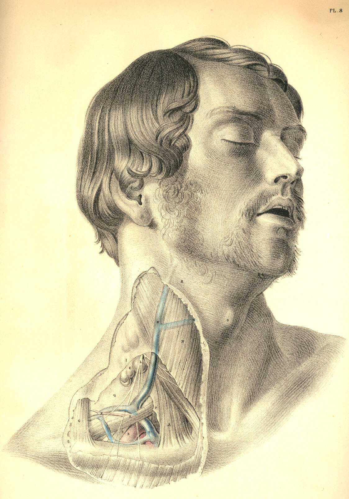 Illustration: