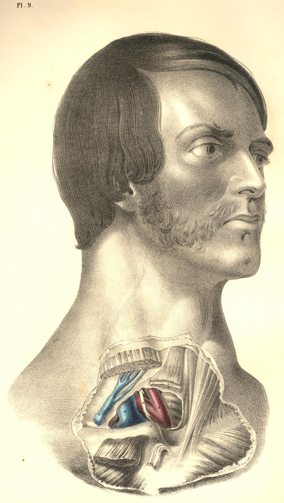 Illustration: