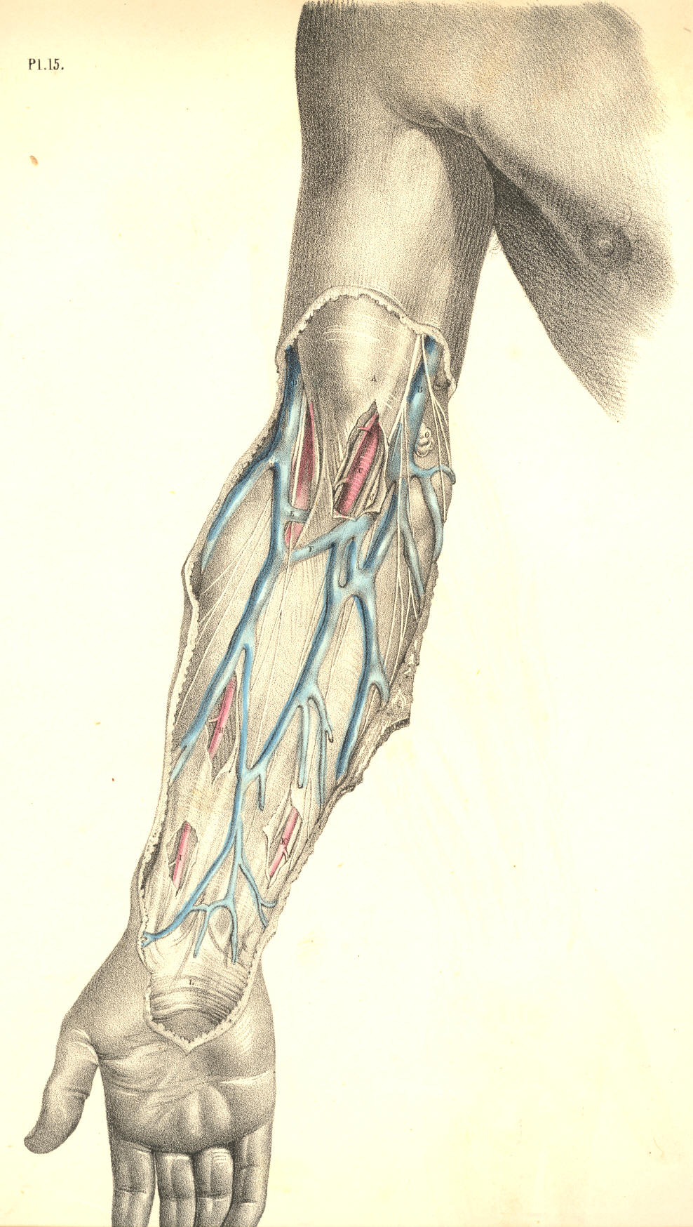 Illustration: