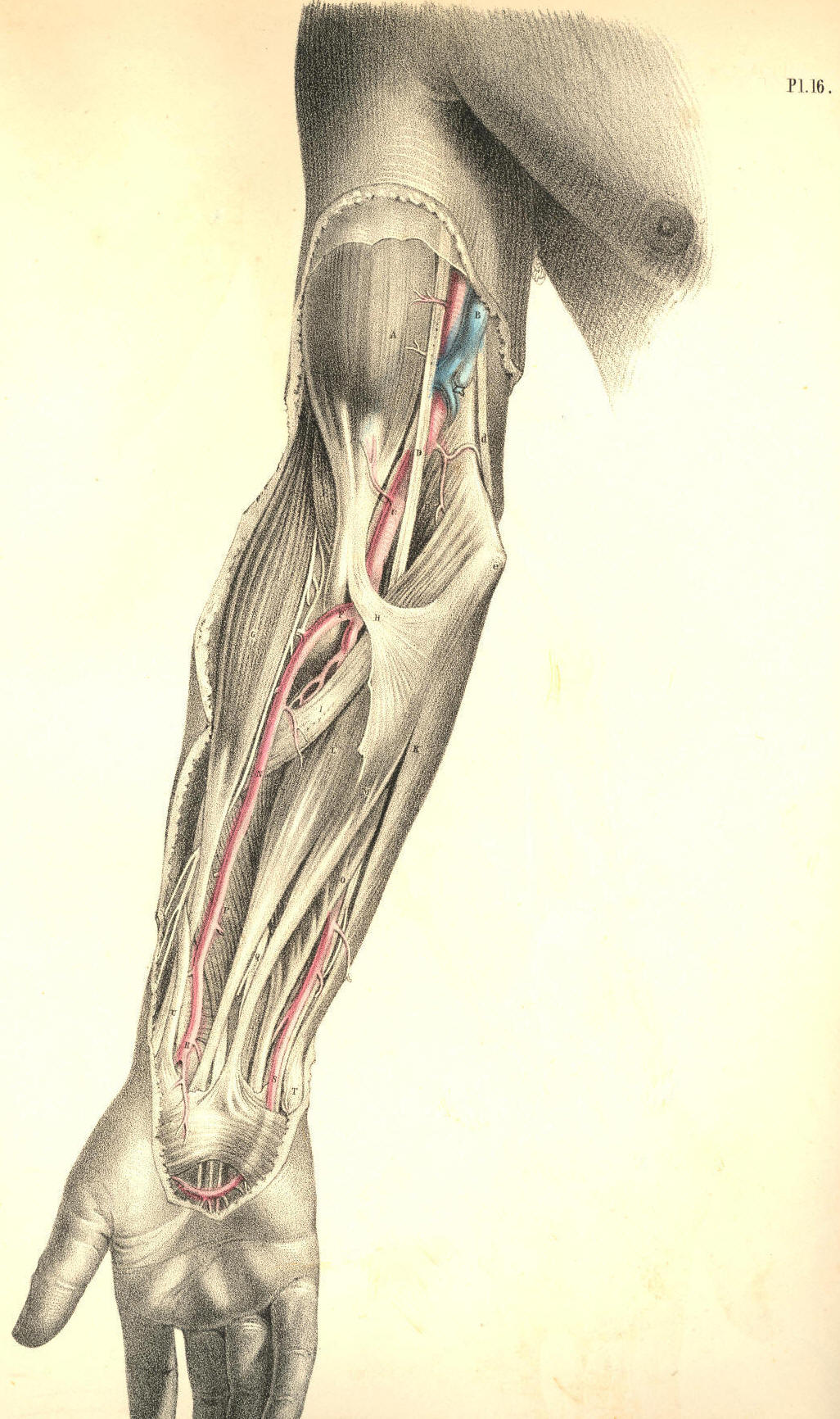 Illustration: