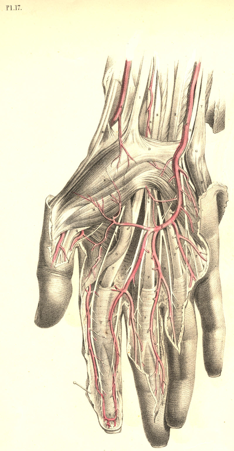 Illustration: