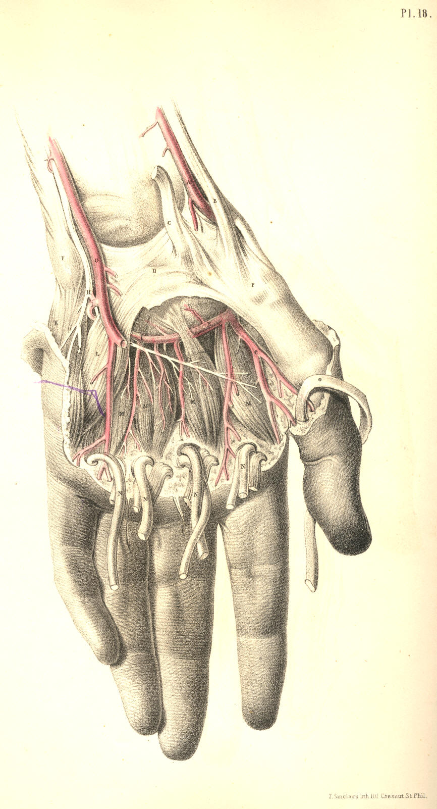 Illustration: