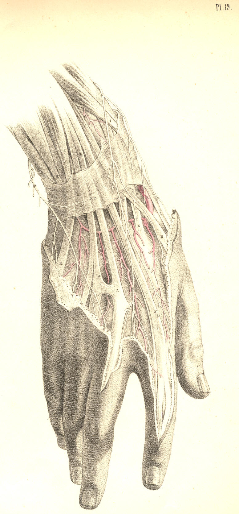 Illustration:
