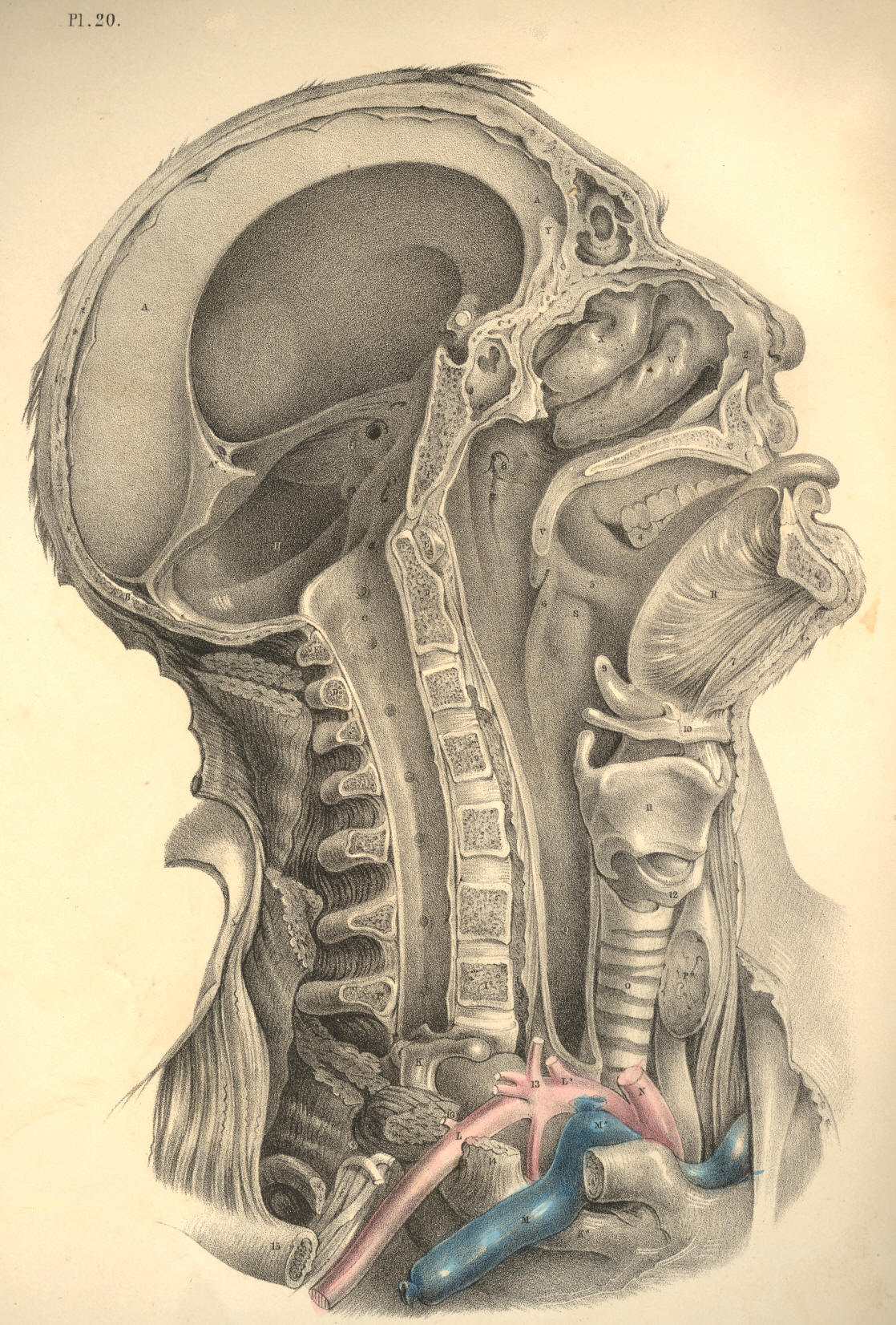 Illustration: