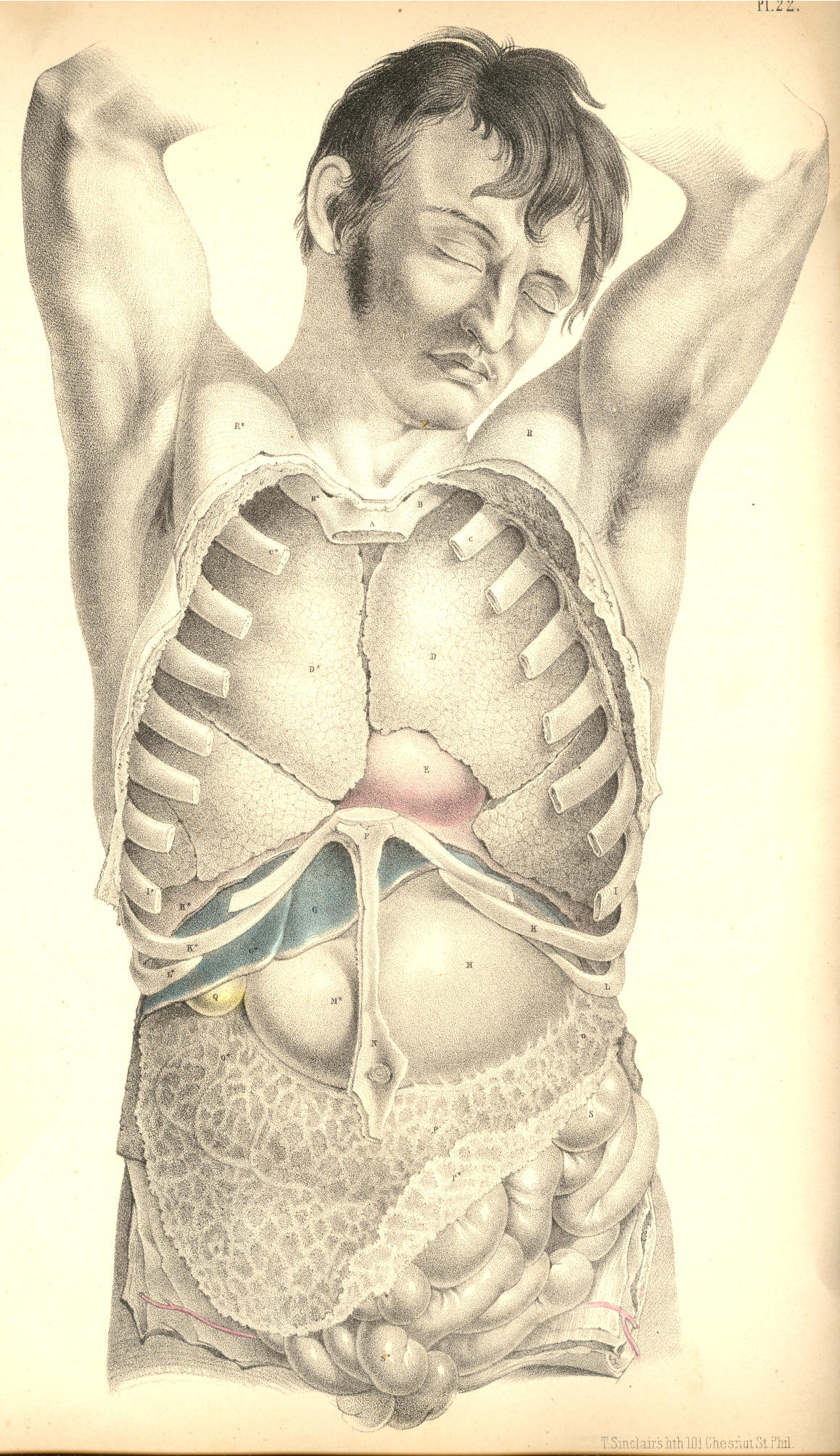Illustration: