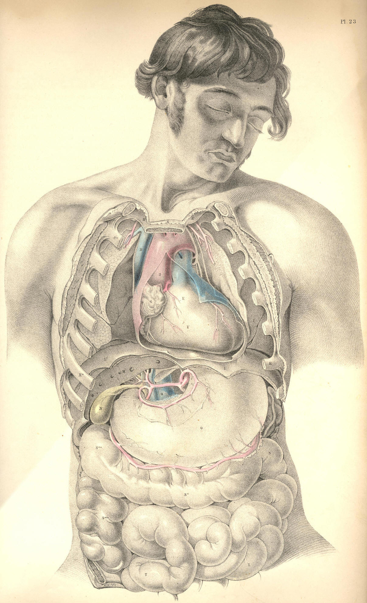 Illustration: