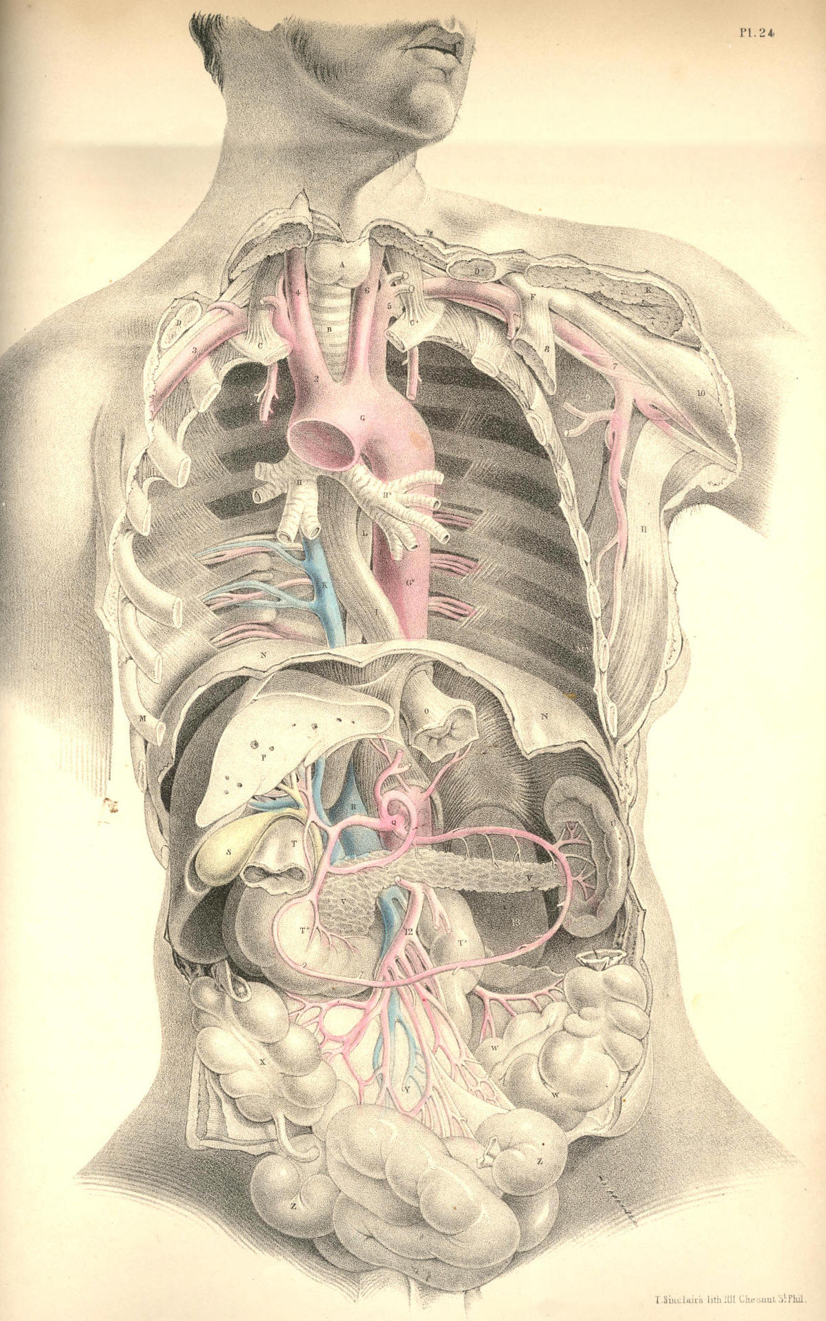 Illustration: