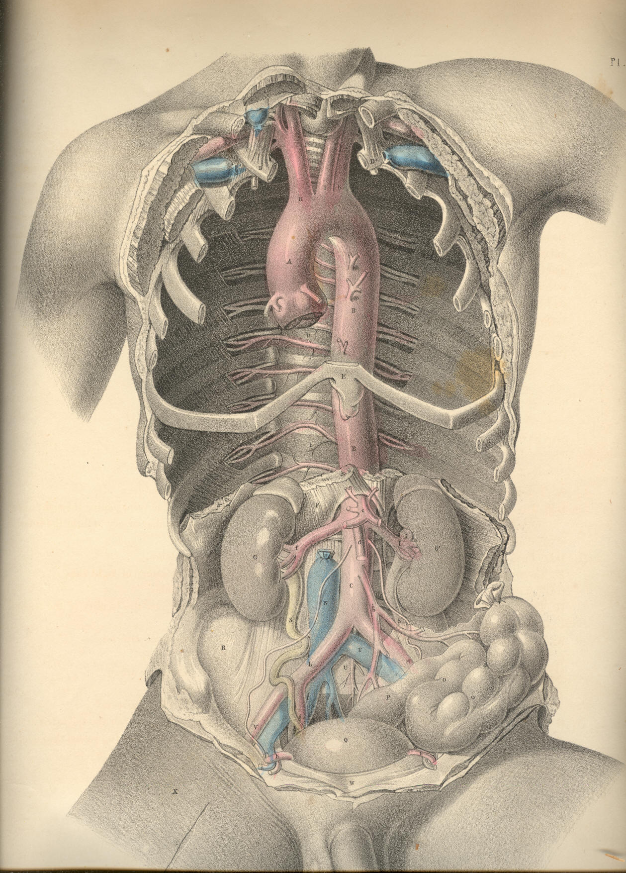 Illustration: