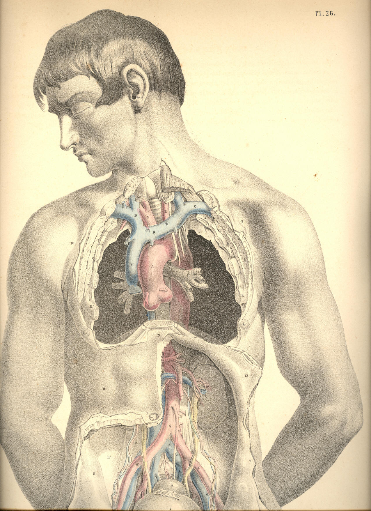 Illustration: