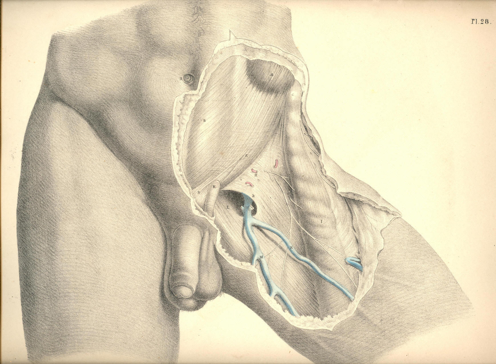 Illustration: