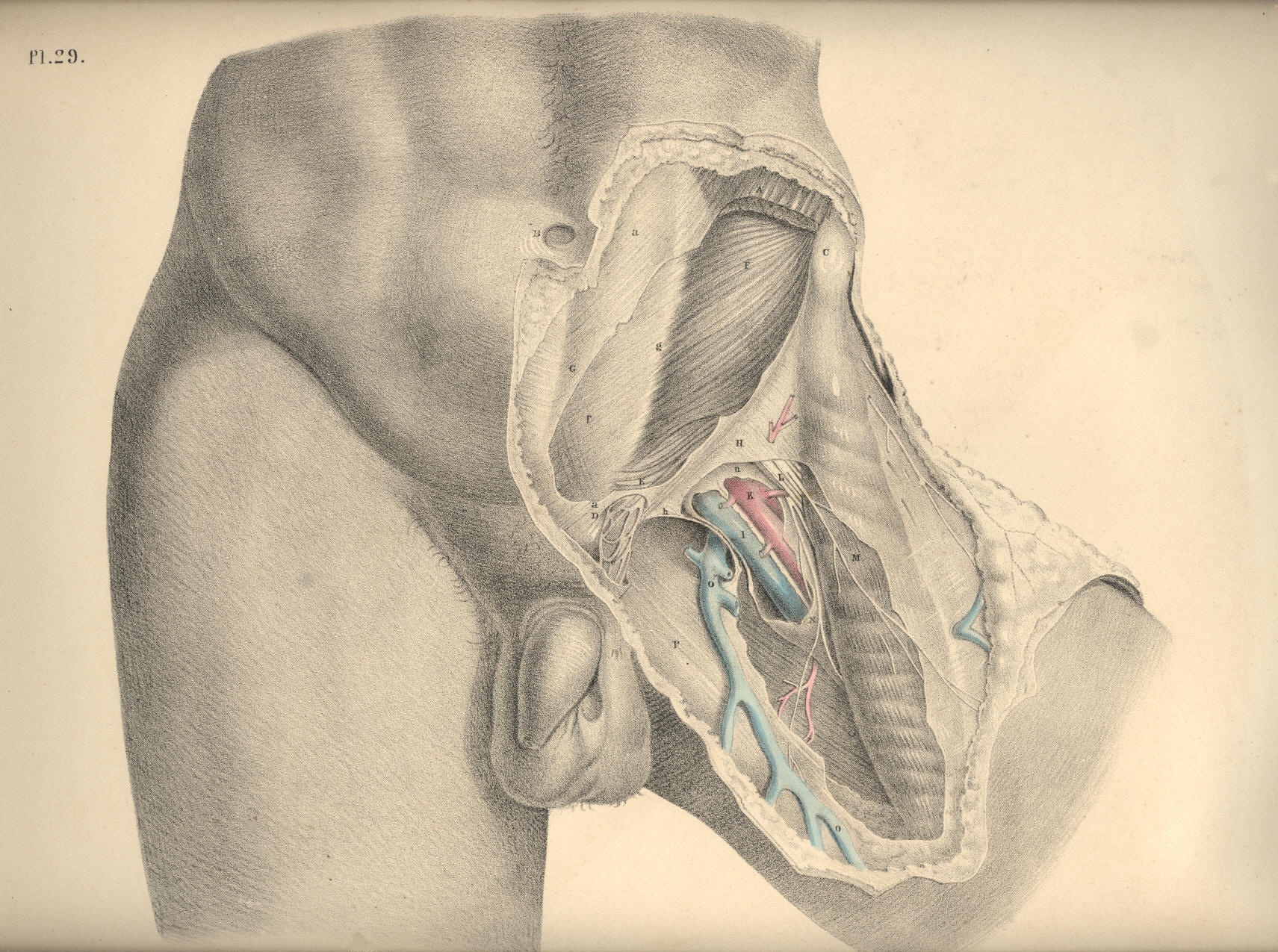 Illustration: