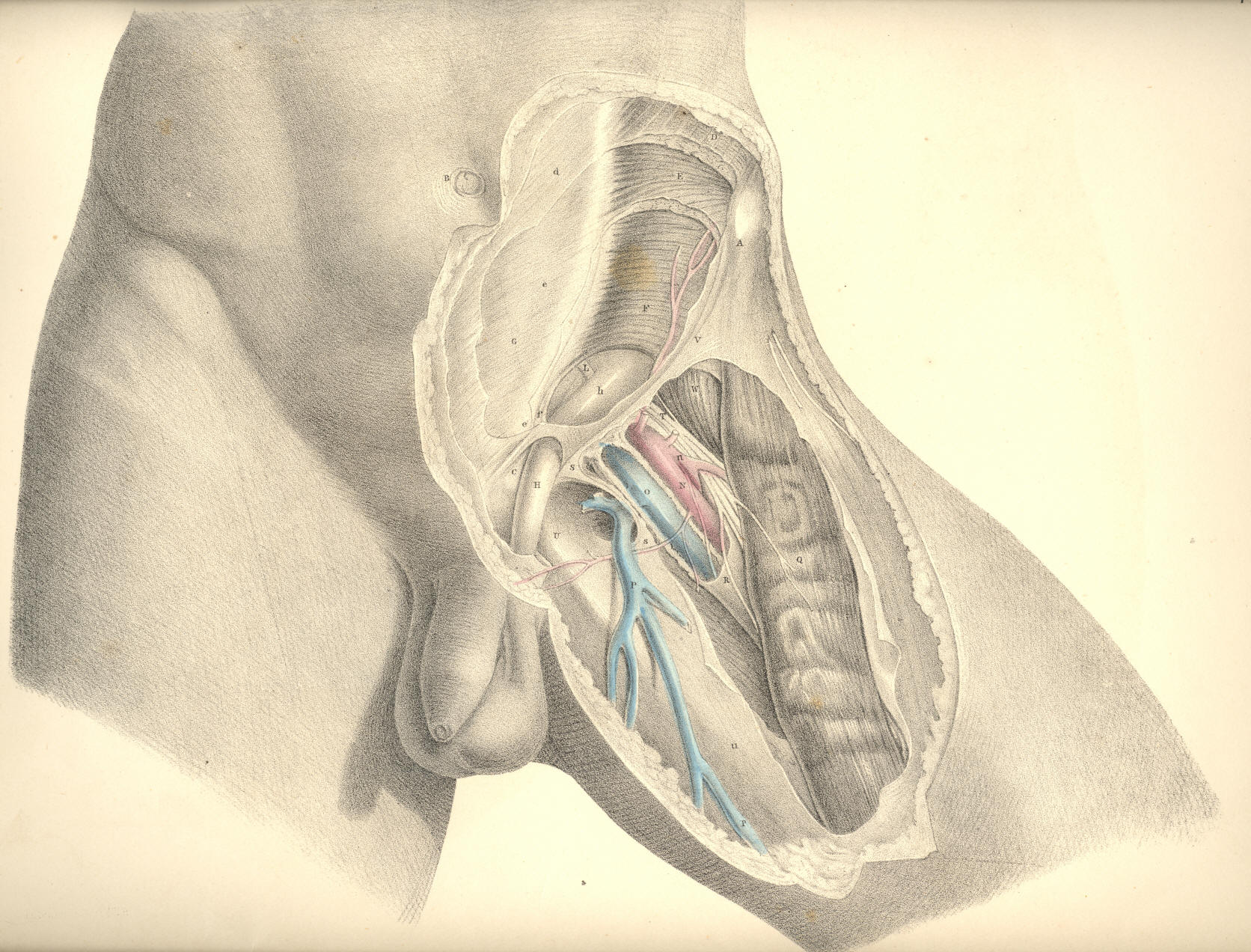 Illustration: