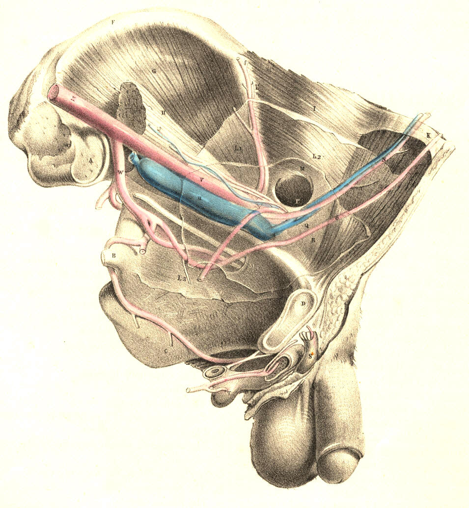 Illustration: