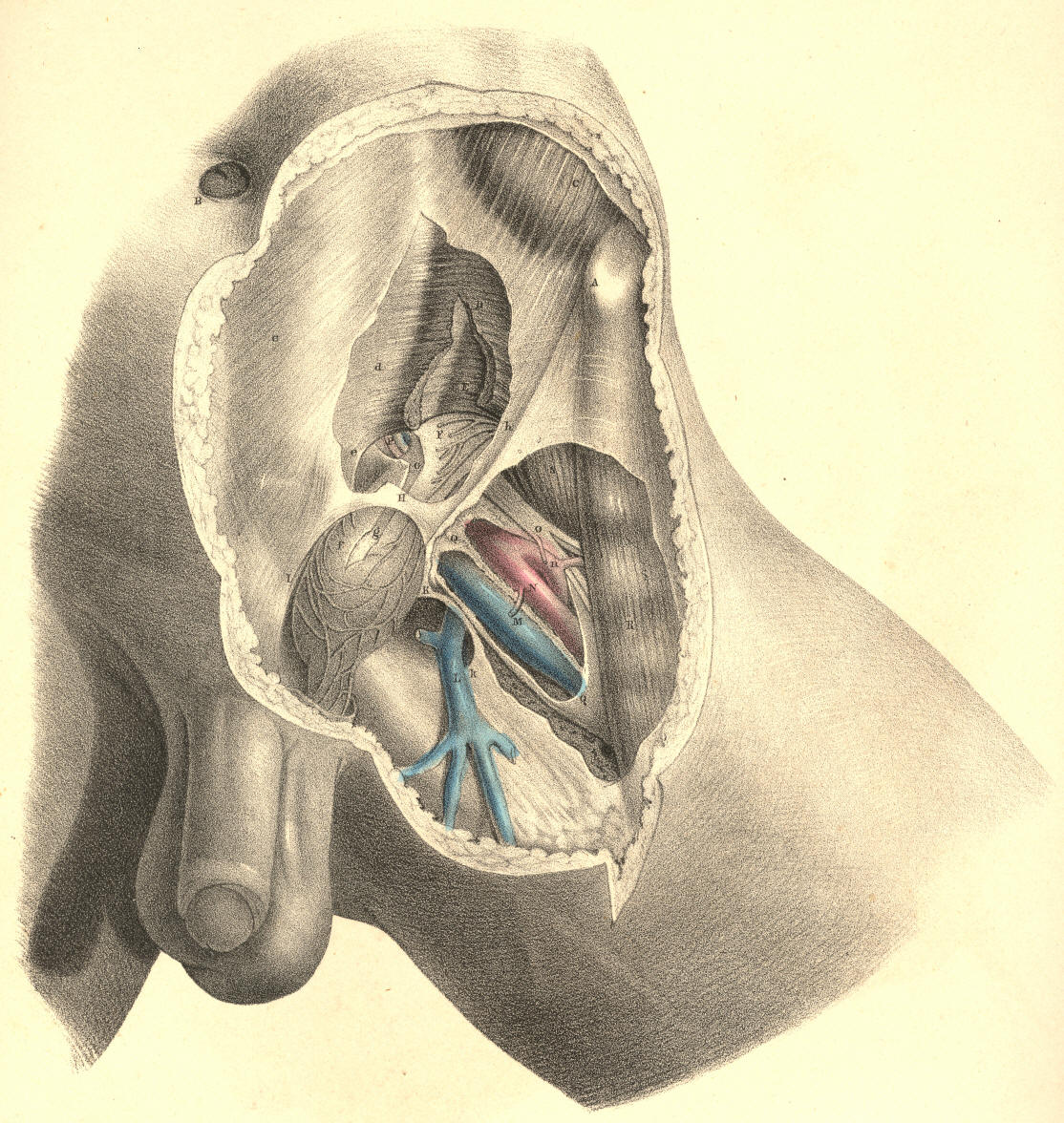 Illustration: