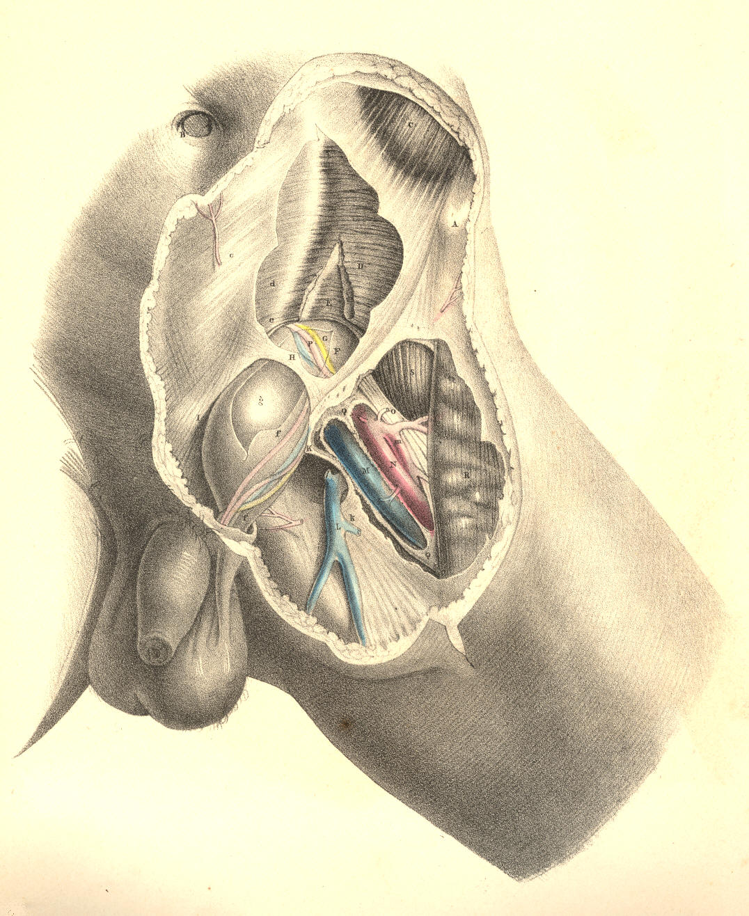Illustration: