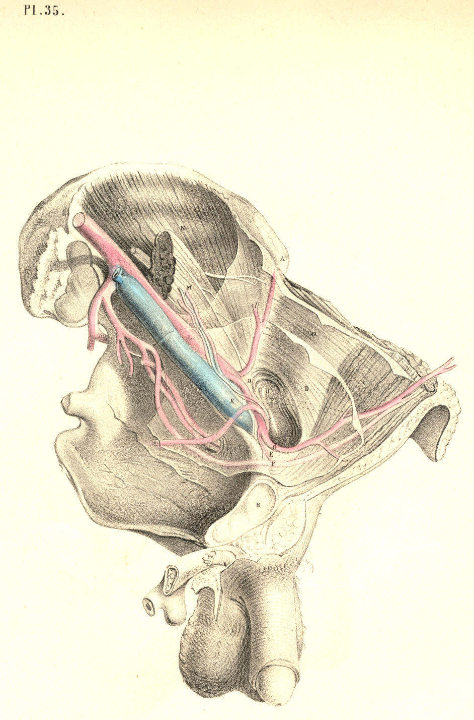 Illustration: