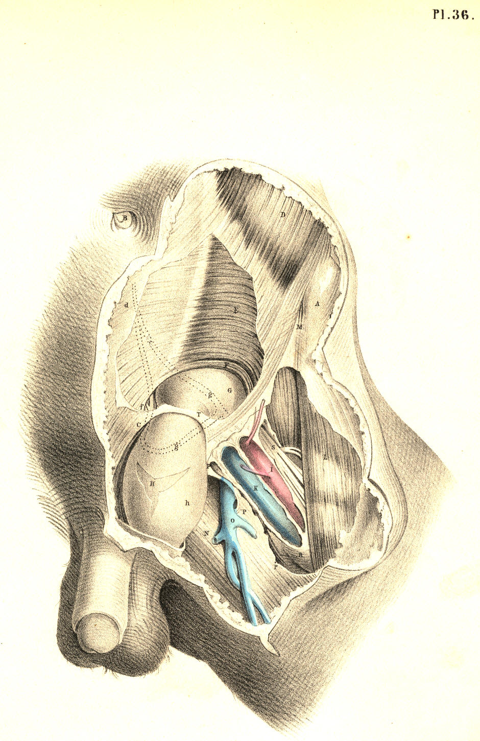 Illustration: