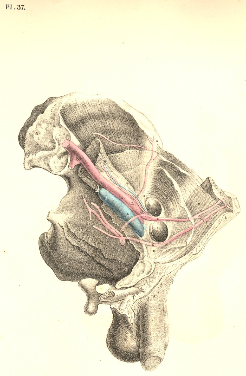 Illustration:
