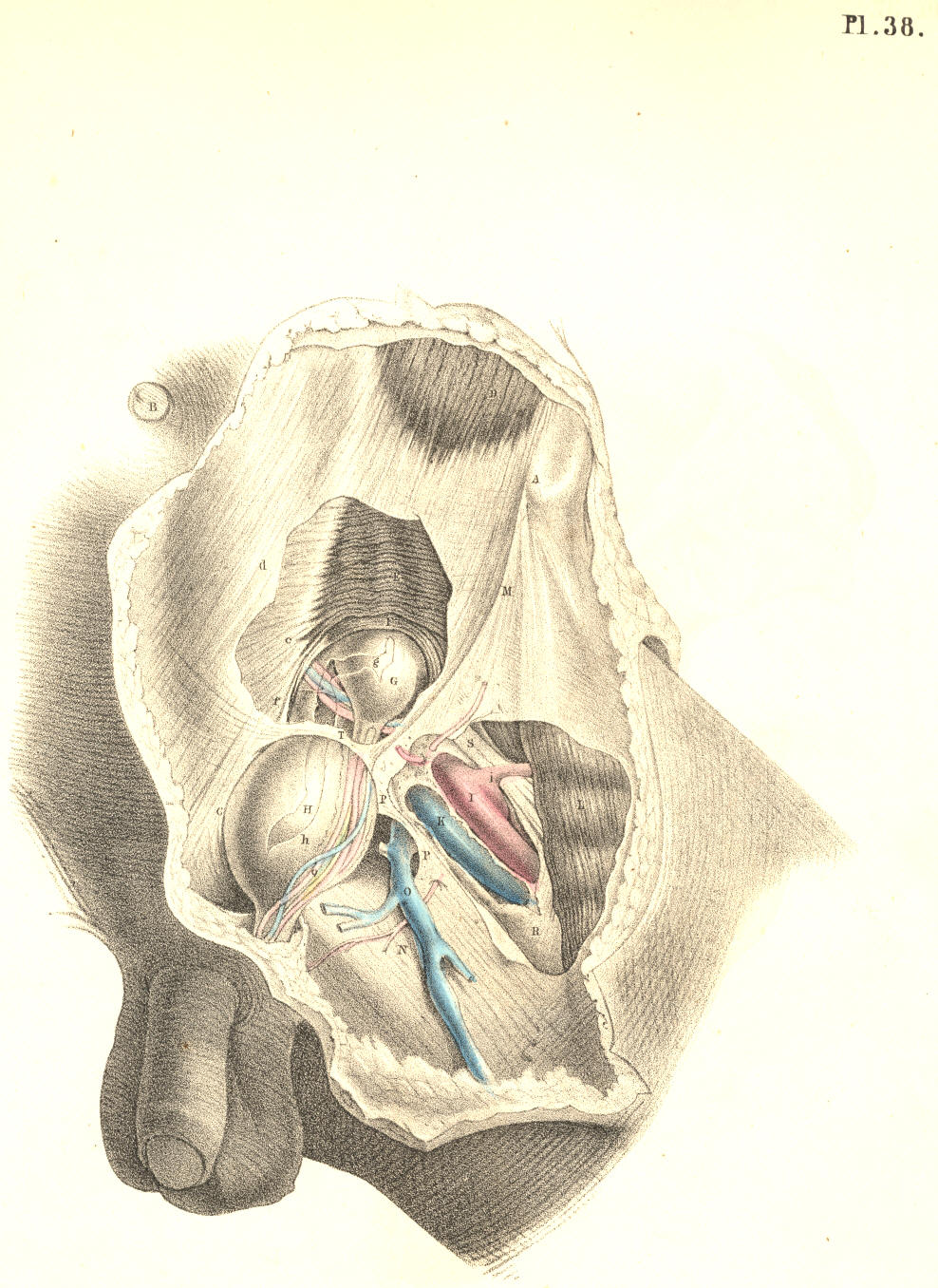 Illustration:
