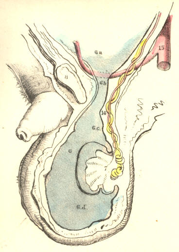 Illustration: