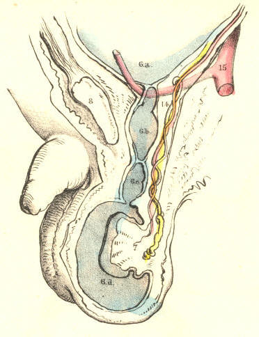 Illustration: