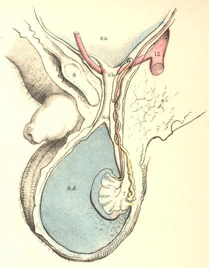 Illustration:
