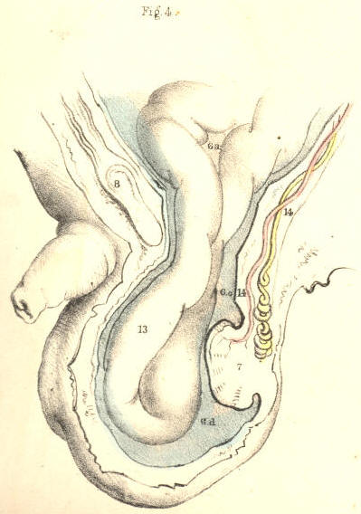 Illustration: