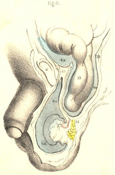Illustration: