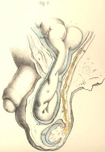 Illustration: