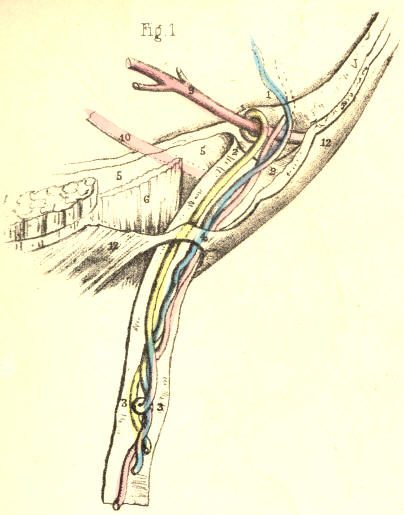 Illustration: