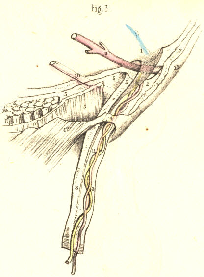 Illustration: