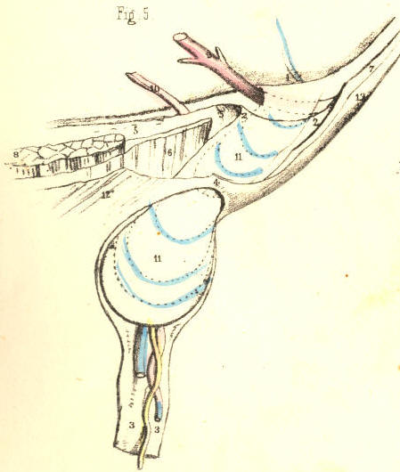 Illustration:
