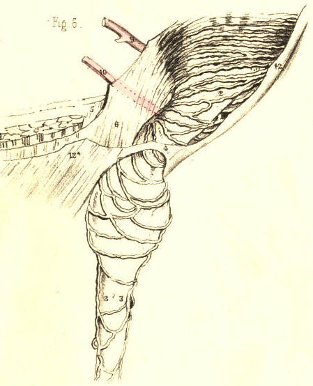 Illustration: