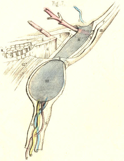 Illustration: