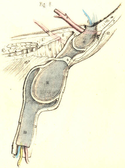 Illustration: