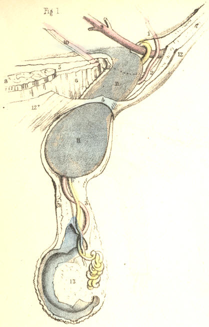 Illustration: