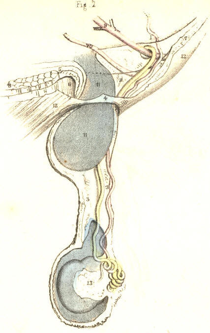 Illustration: