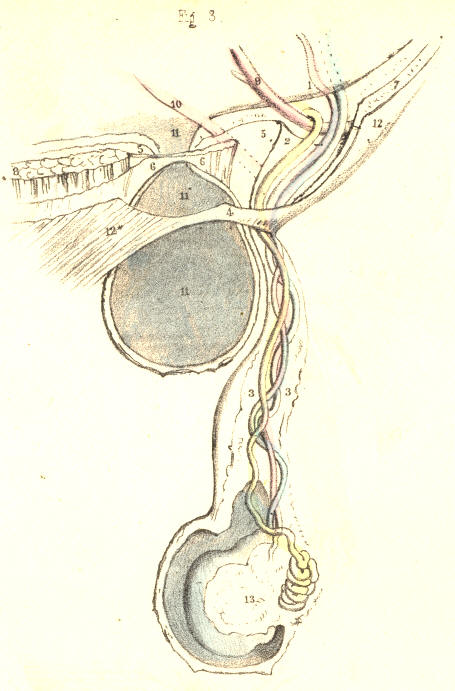 Illustration: